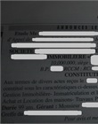 Annonce légale de la société mère